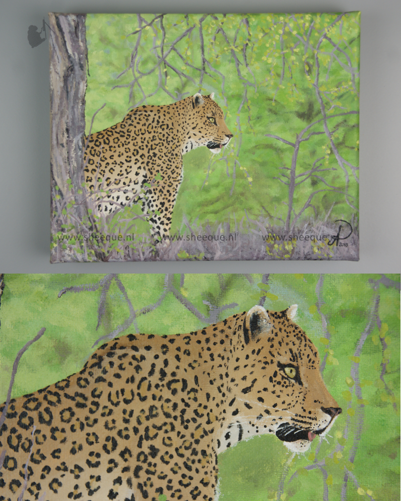 acryl schilderijen luipaard